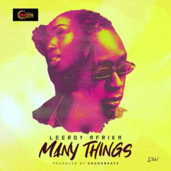 Leeroy Afrika - Many Things